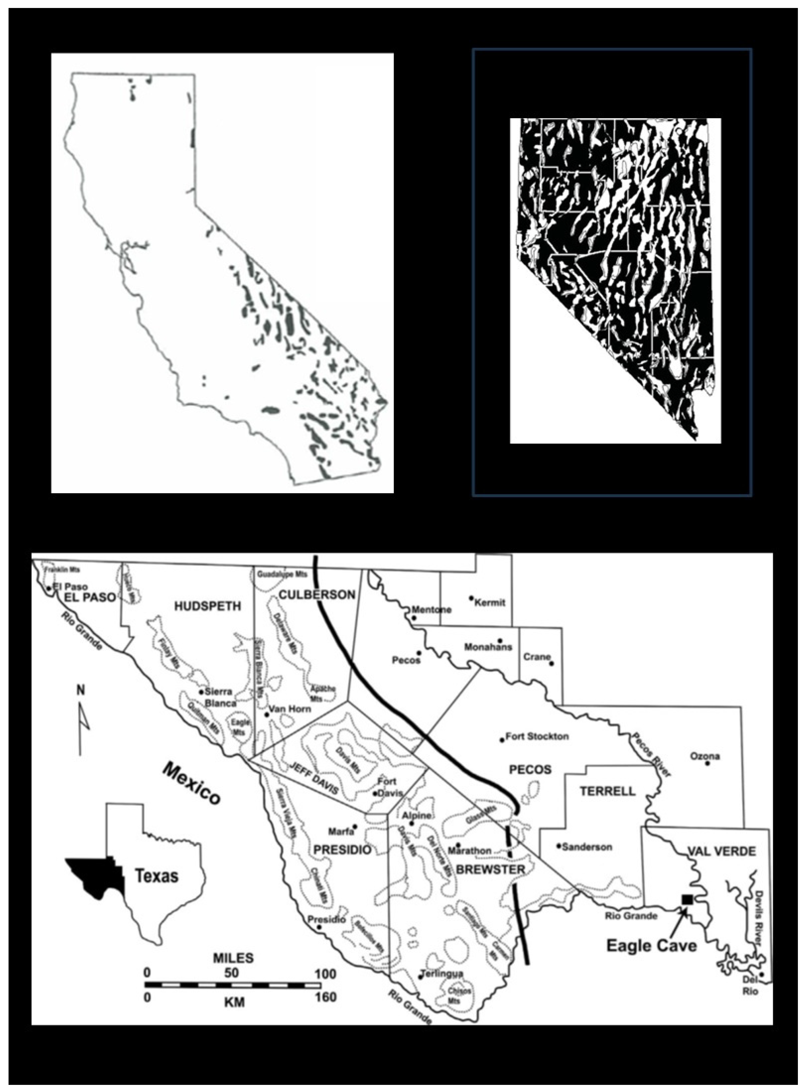 Wild 03 00011 g004 Wild 03 00011 g004