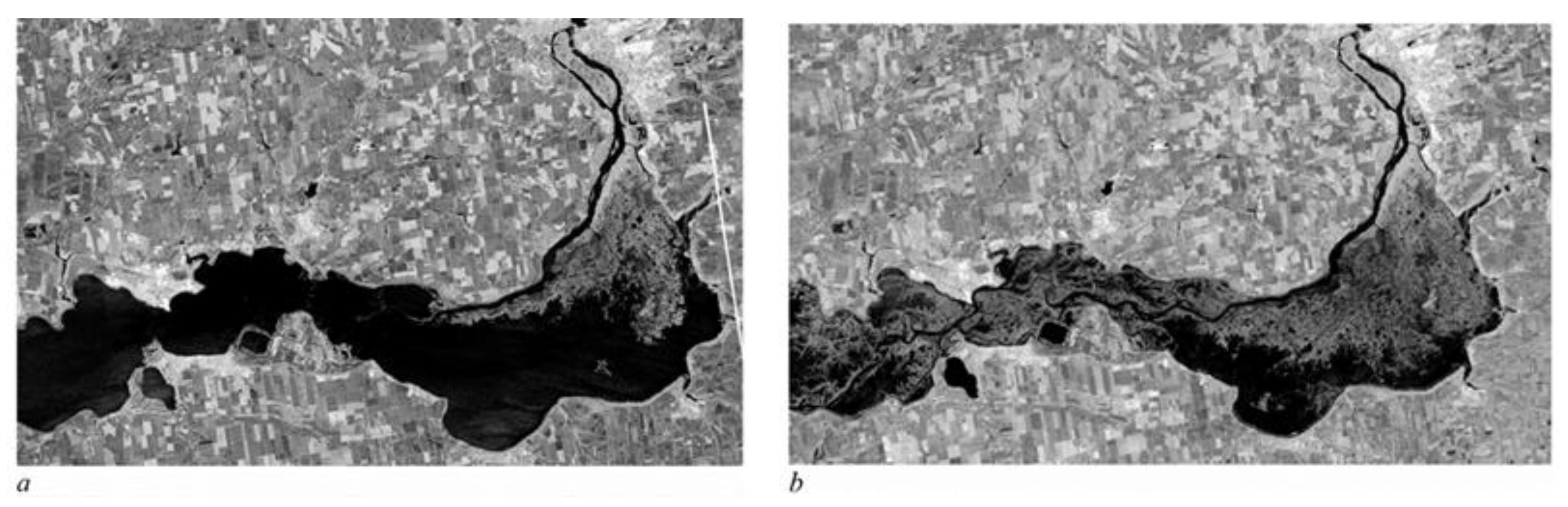 World 07 00003 g009 World 07 00003 g009