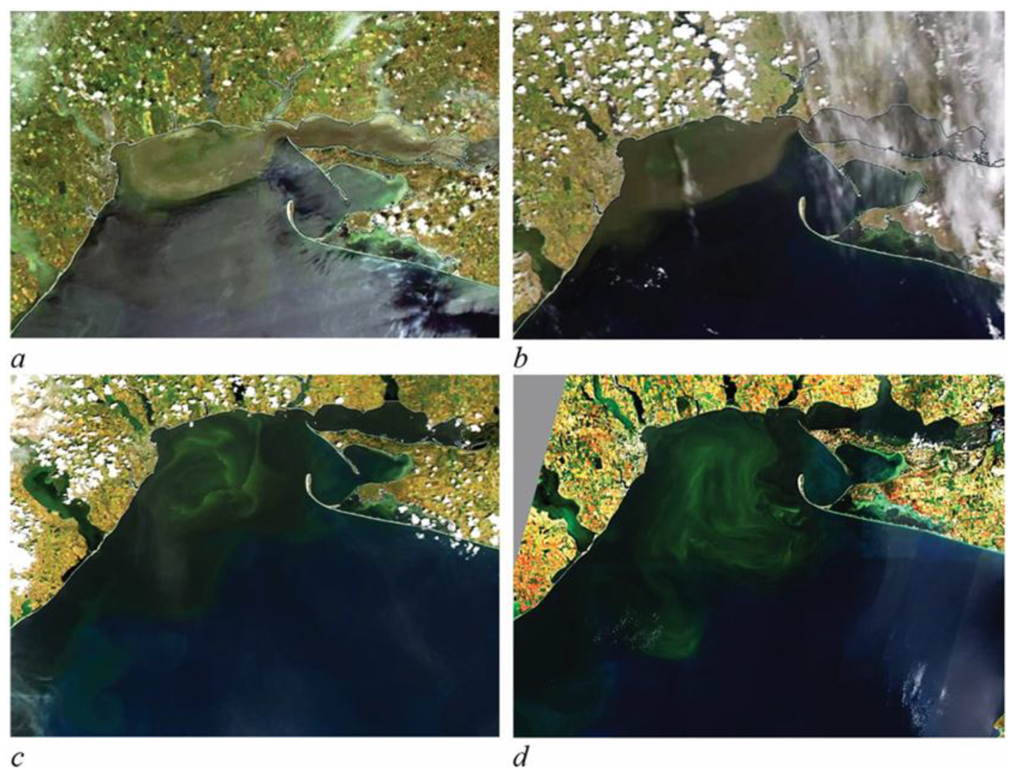 World 07 00003 g010 World 07 00003 g010