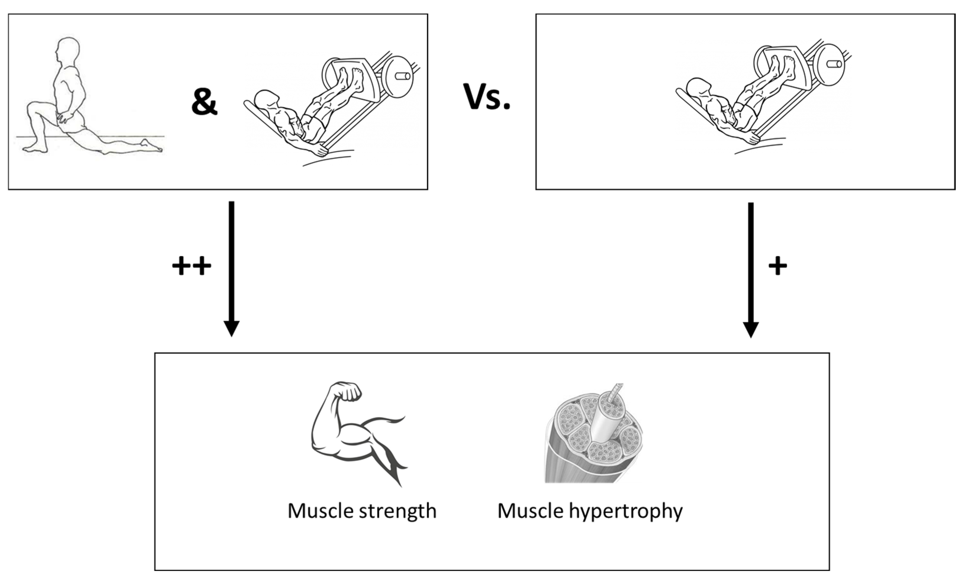 Youth 03 00010 g002 Youth 03 00010 g002