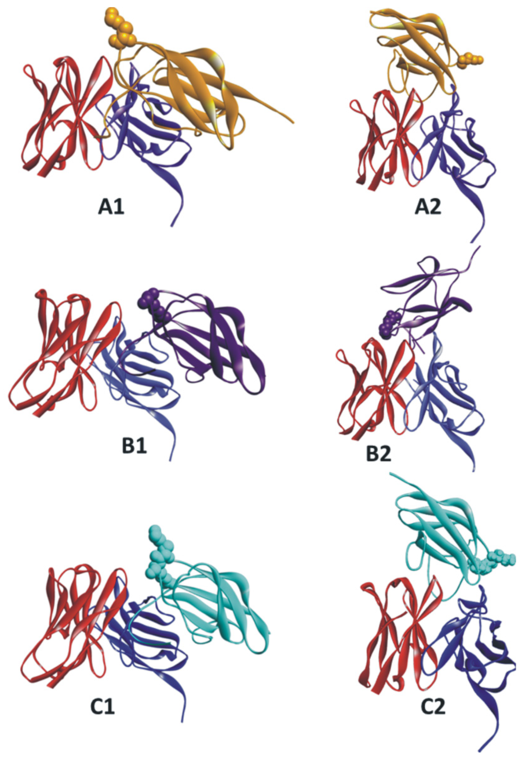 Zoonoticdis 02 00012 g002