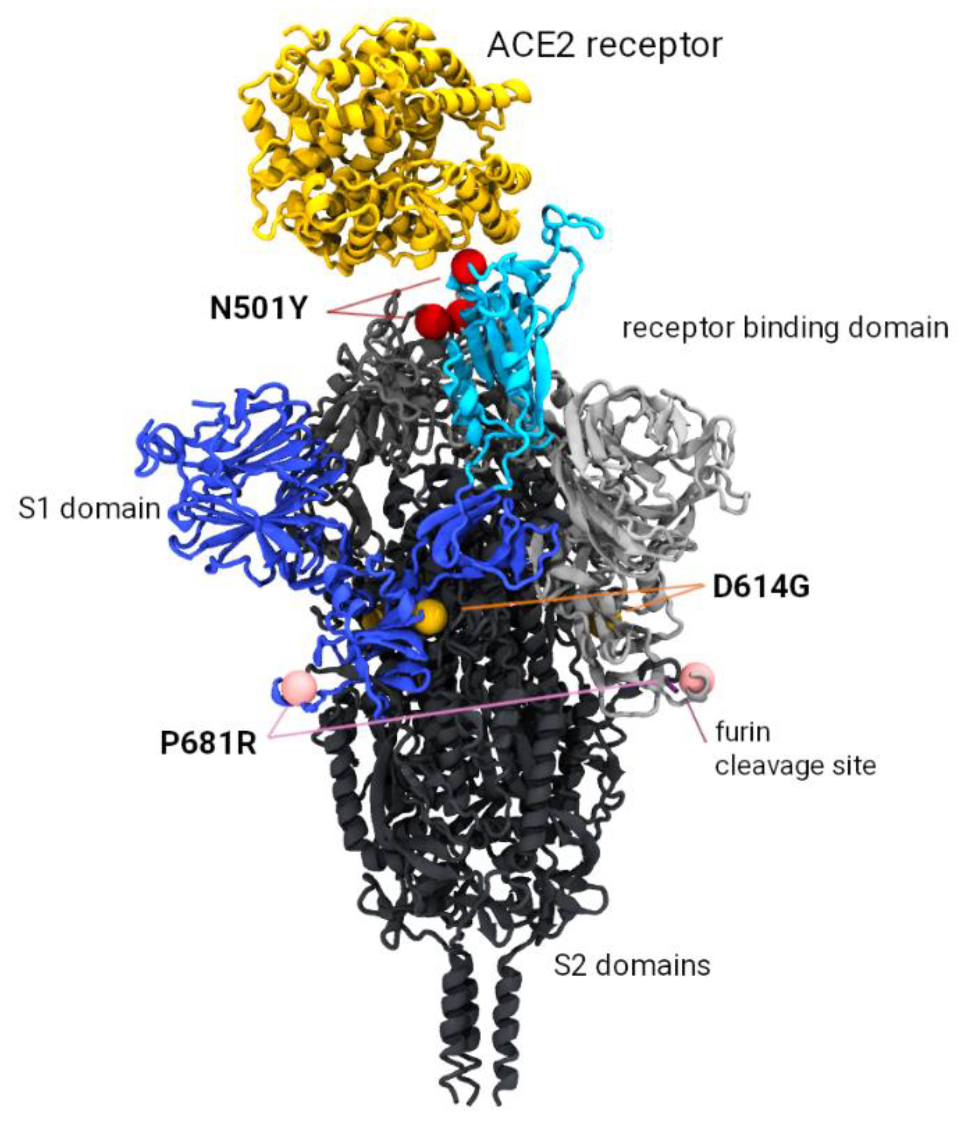 Zoonoticdis 02 00014 g006
