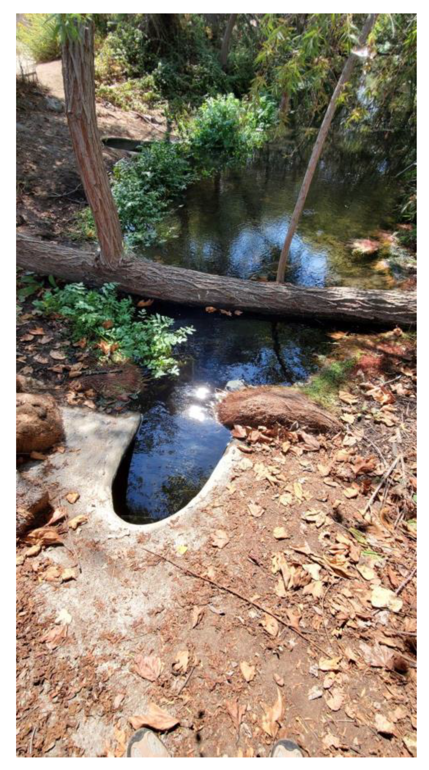 Zoonoticdis 02 00021 g002