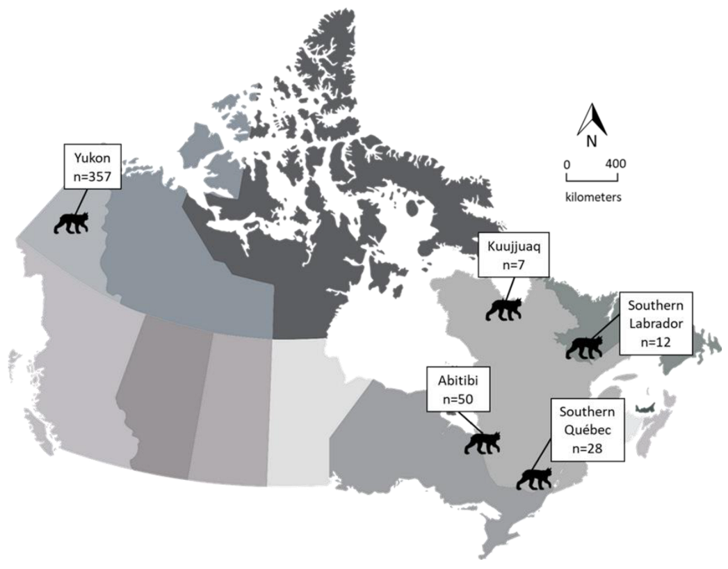Zoonoticdis 03 00002 g001