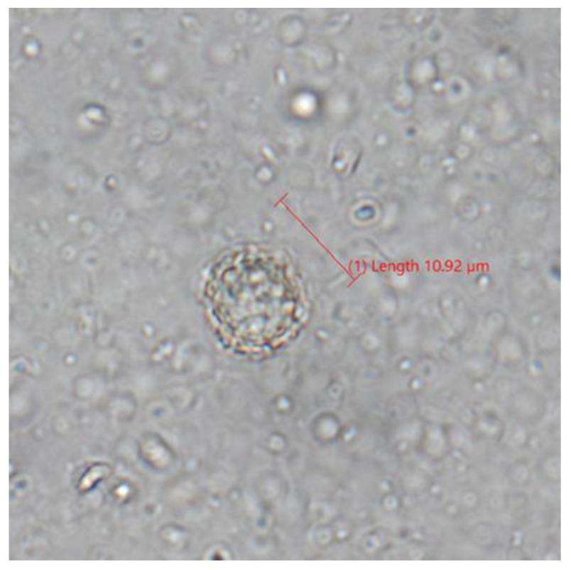 Zoonoticdis 03 00002 g002