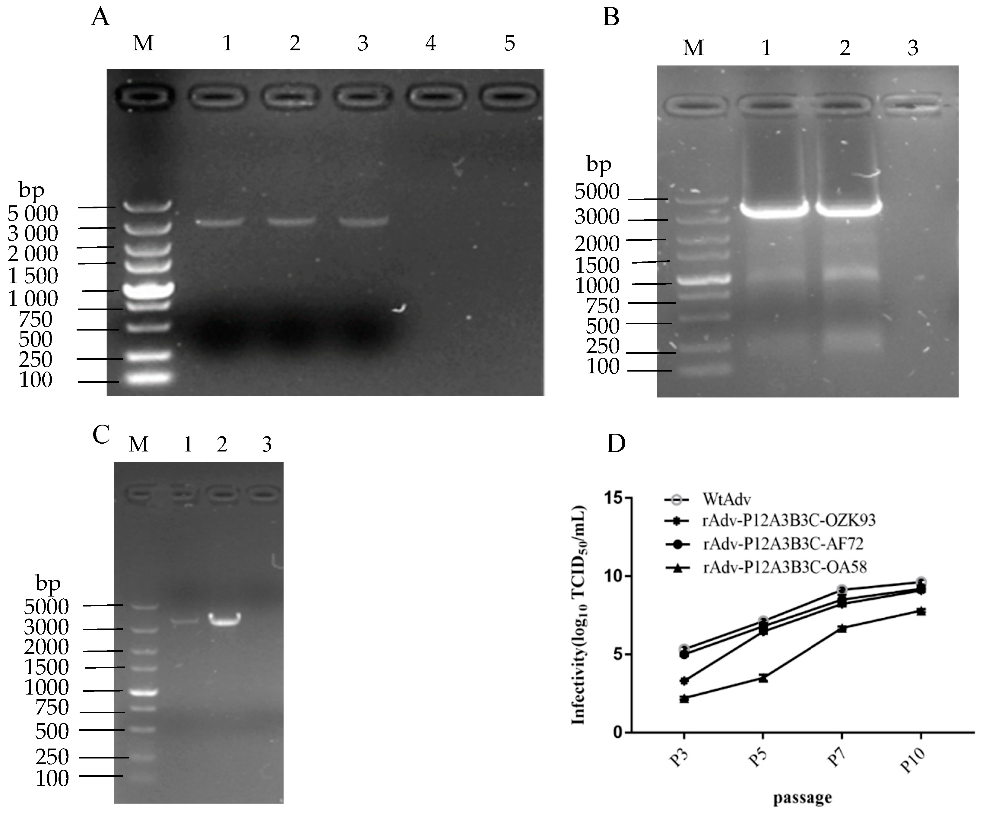 Zoonoticdis 03 00010 g004