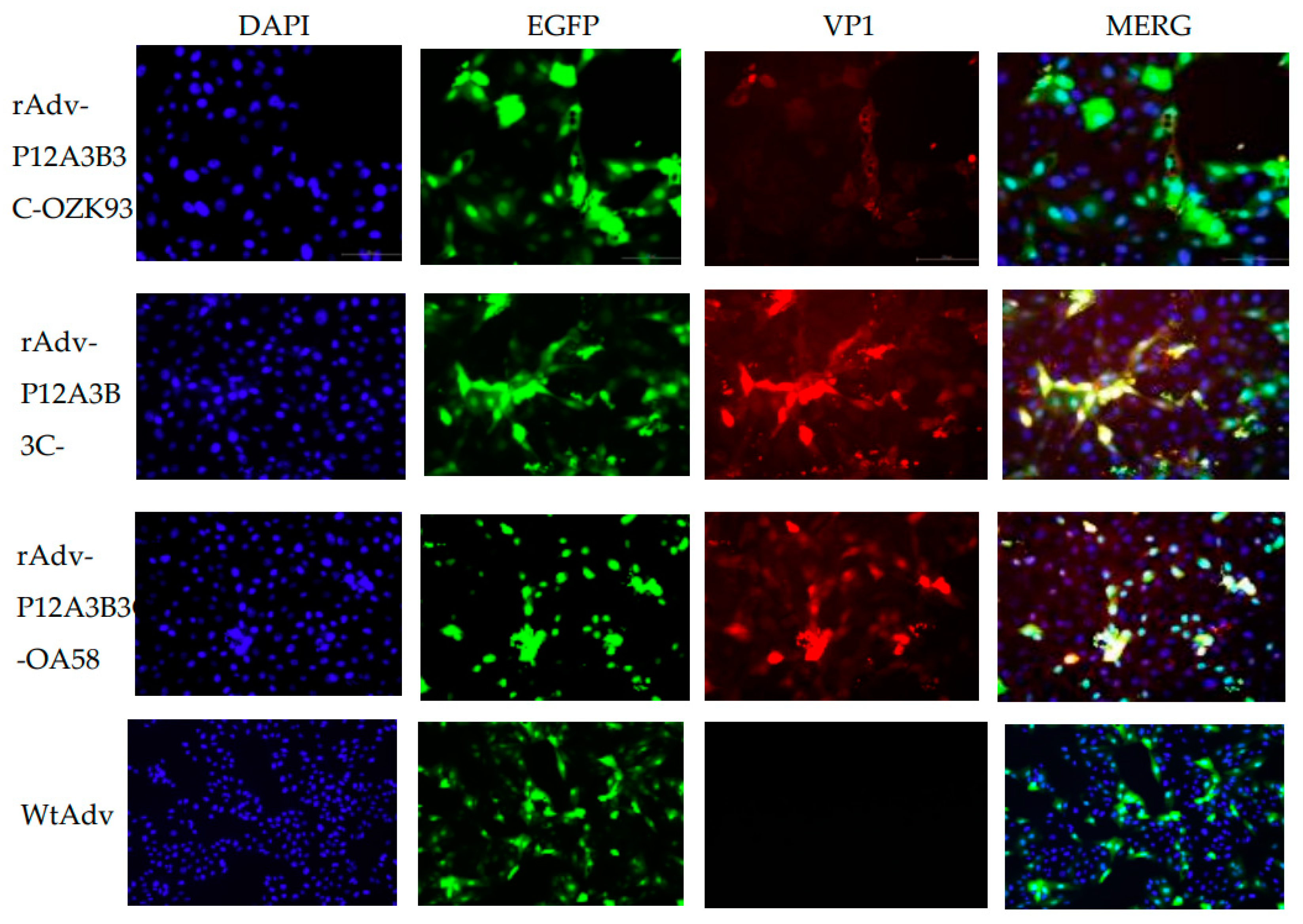 Zoonoticdis 03 00010 g006