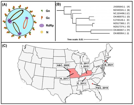 Zoonoticdis 03 00016 g001