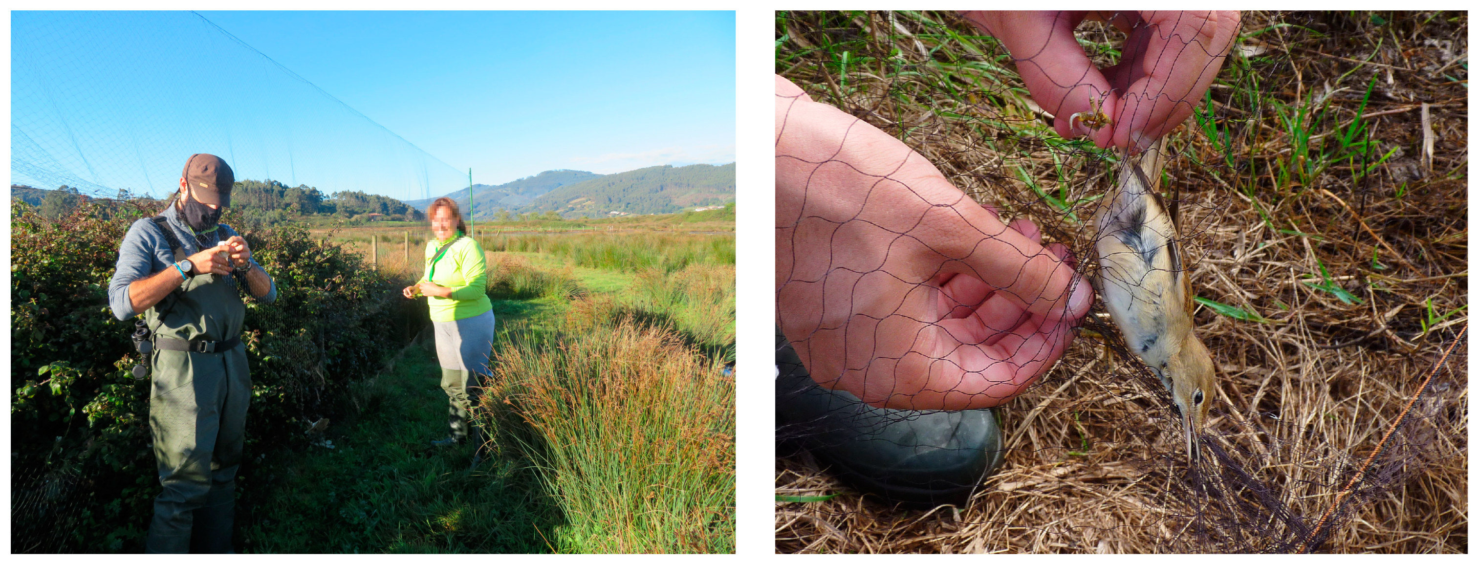 Zoonoticdis 03 00026 g002 Zoonoticdis 03 00026 g002