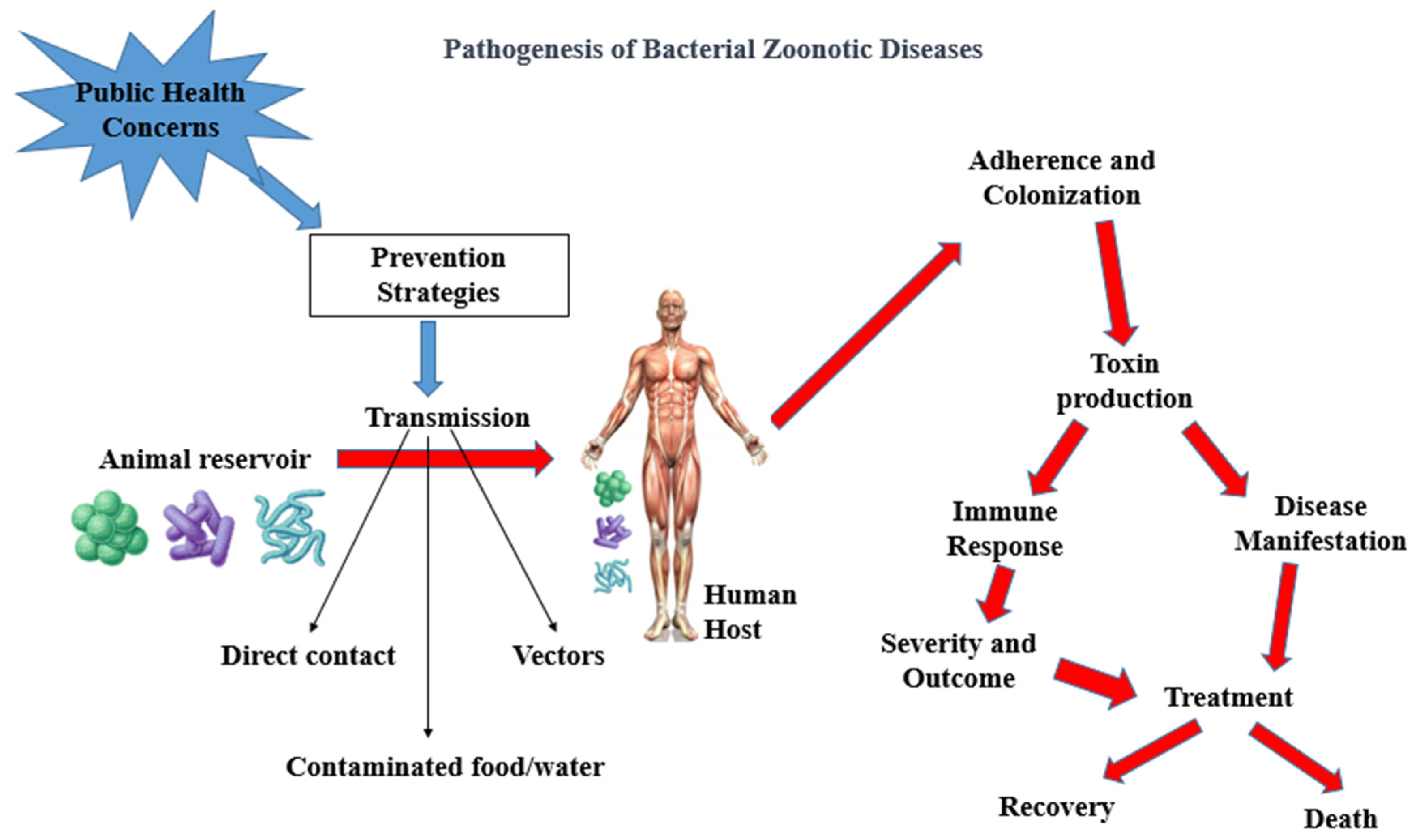 Zoonoticdis 04 00010 g001