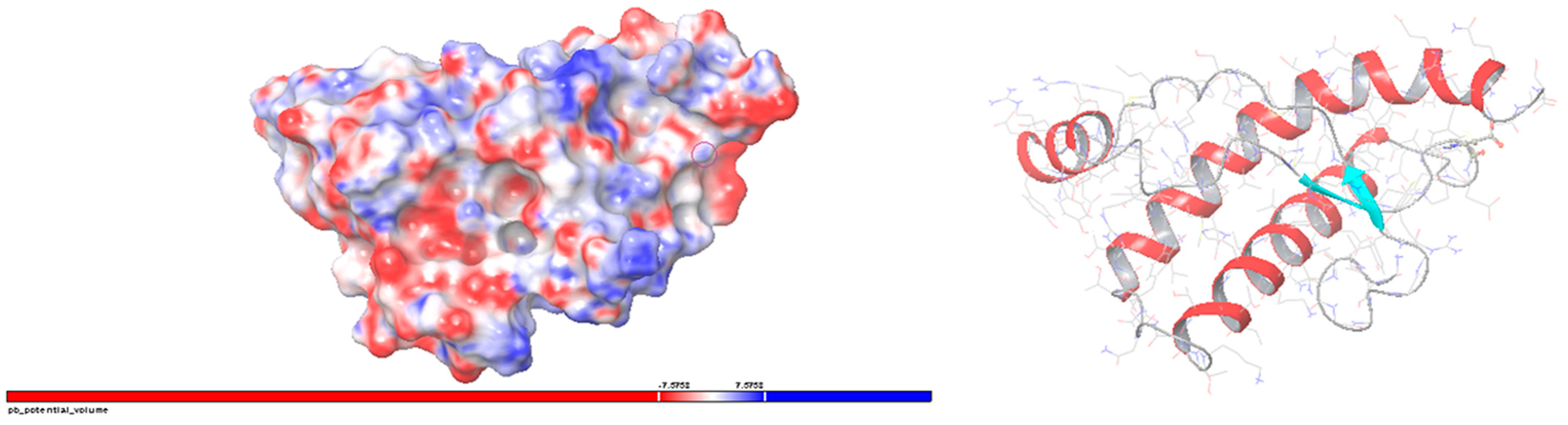 Zoonoticdis 04 00017 g003