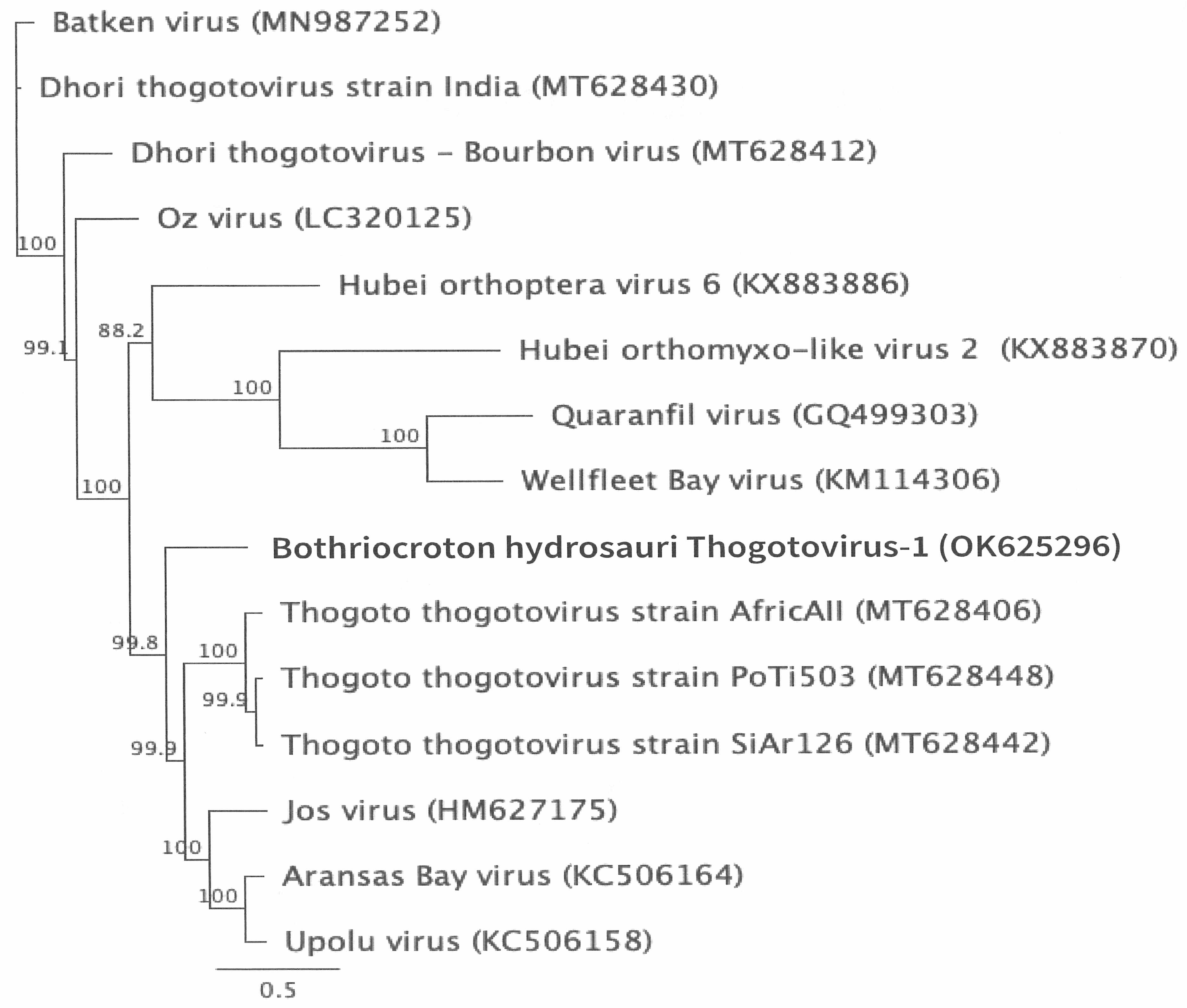 Zoonoticdis 05 00009 g005