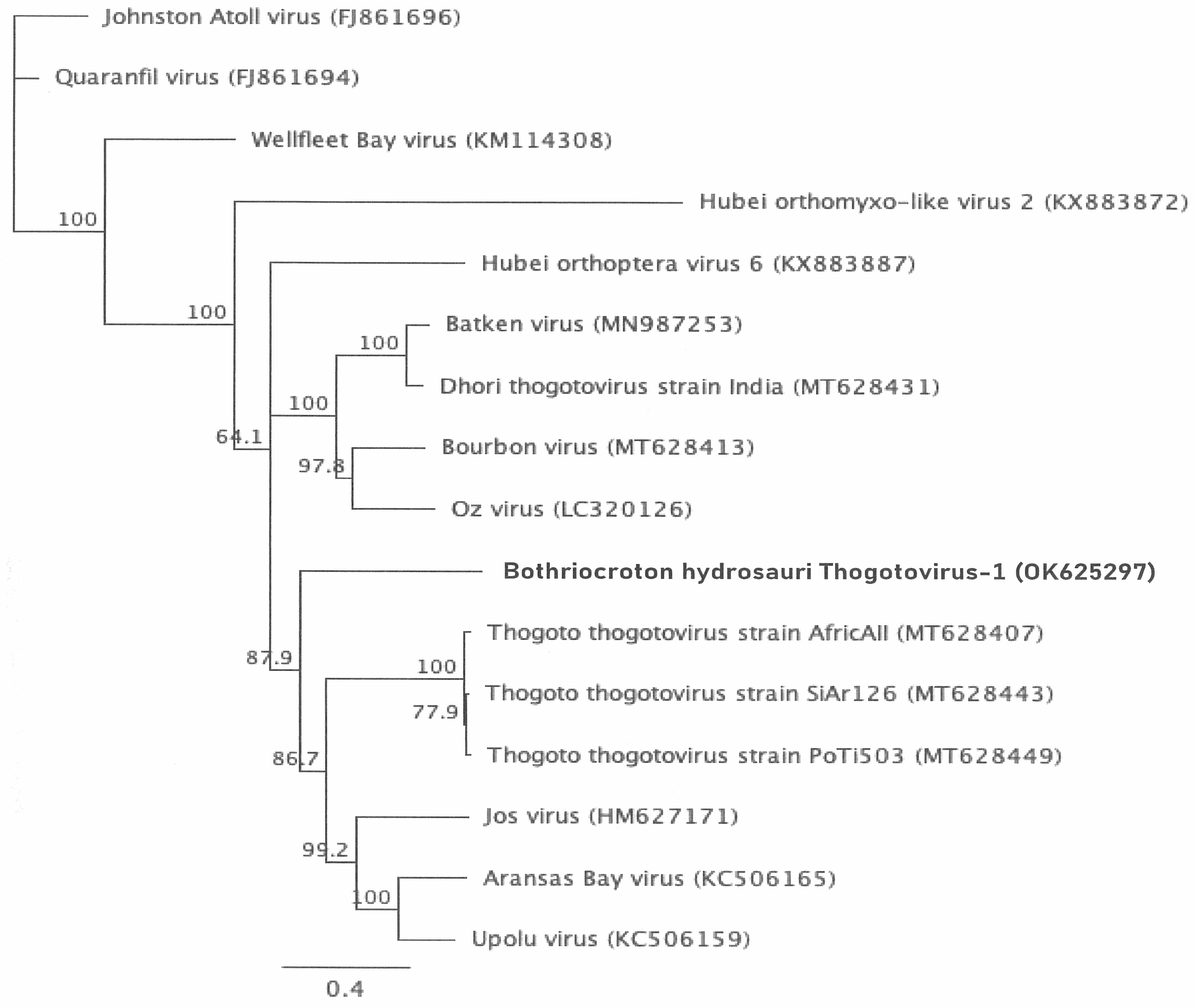 Zoonoticdis 05 00009 g006