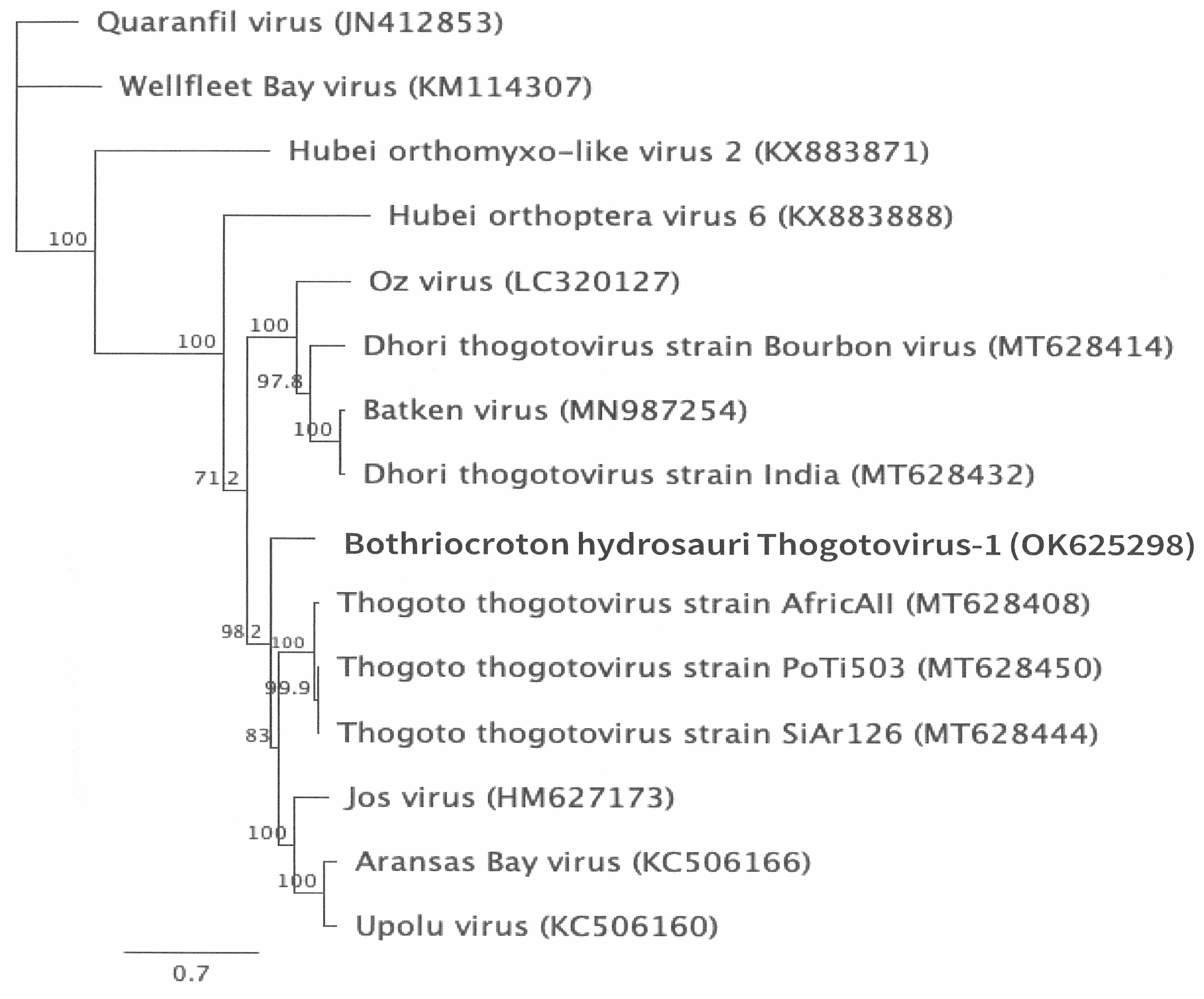 Zoonoticdis 05 00009 g007