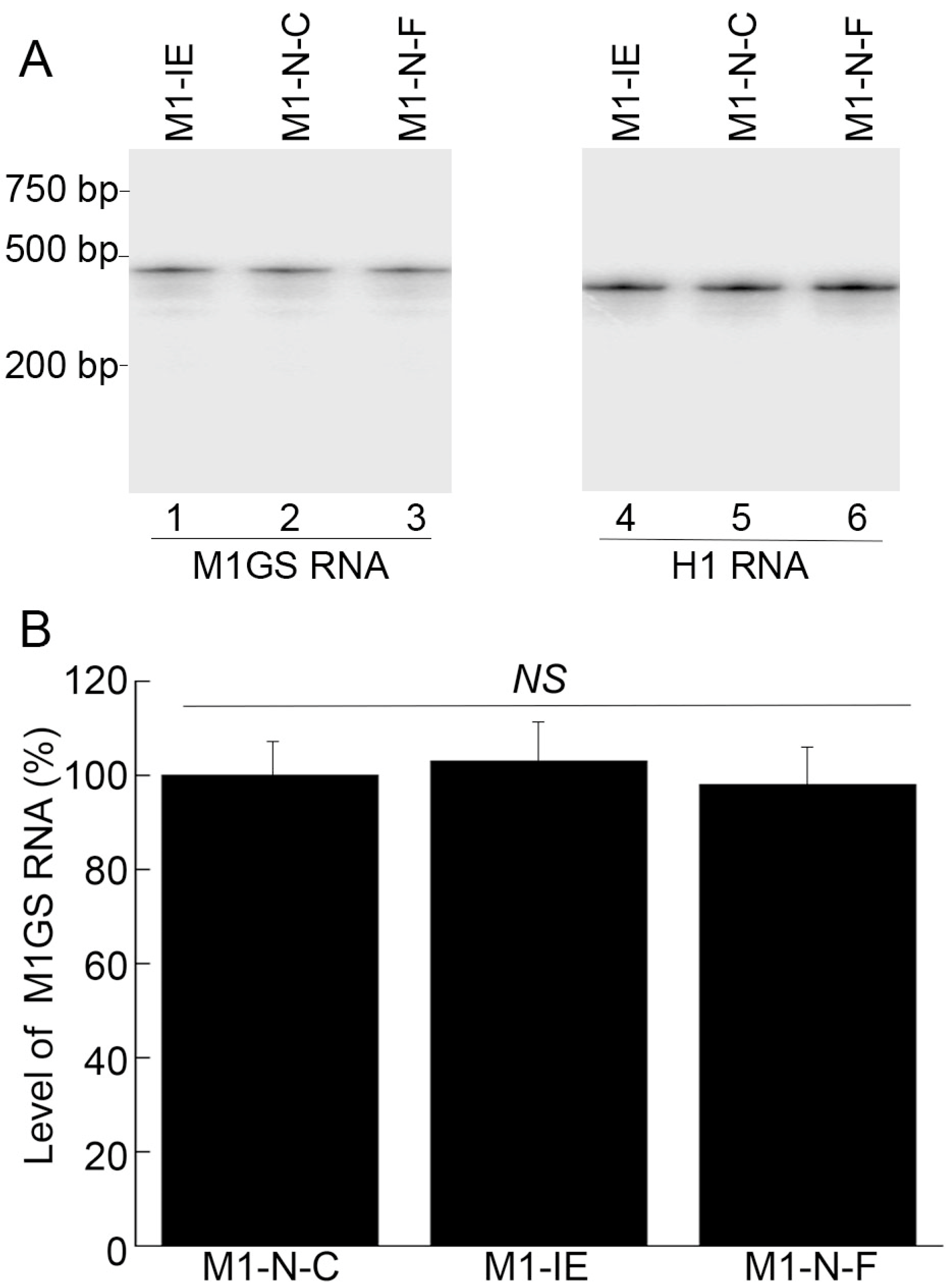 Zoonoticdis 05 00012 g002