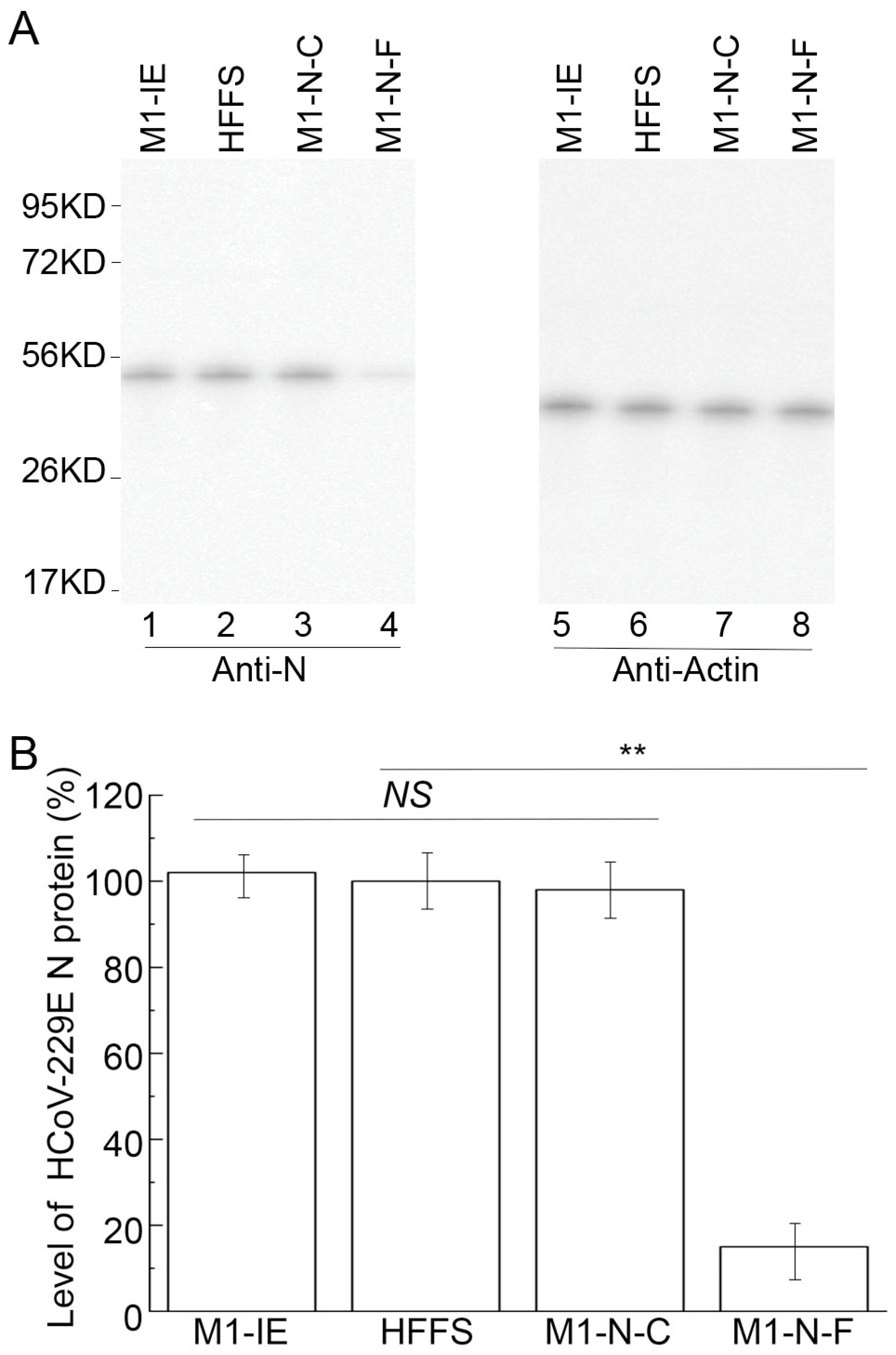 Zoonoticdis 05 00012 g004
