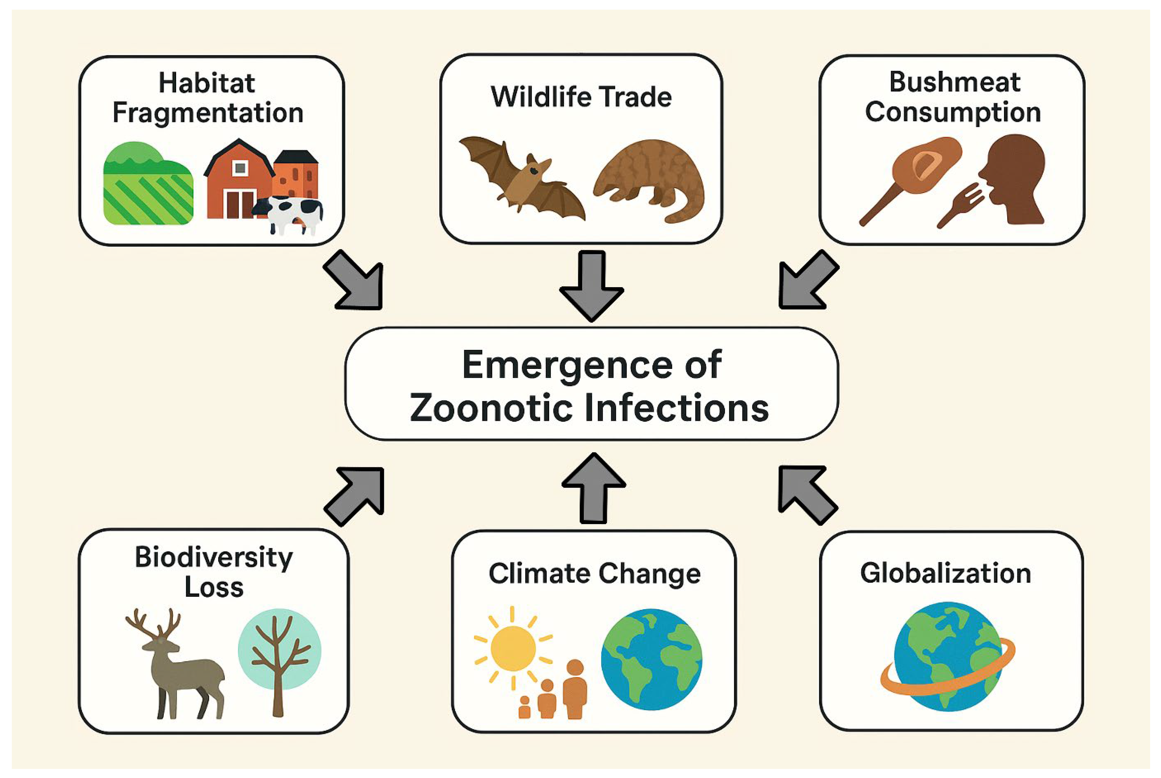Zoonoticdis 05 00032 g001