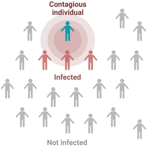 Direct versus indirect zoonotic viral spillover. Understanding the intricate details of zoonotic spillover processes is crucial for preventing potential threats to public health, as a proactive approach is more efficient than responding to existing outbreaks.